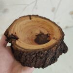 Price and Buy Tree Trunk Log Ashtray – Suitable for Eco-Friendly and Rustic Spaces