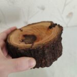 Price and Buy Tree Trunk Log Ashtray – Suitable for Eco-Friendly and Rustic Spaces - Image 3