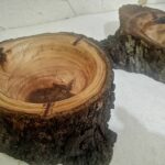 Price and Buy Tree Trunk Log Ashtray – Suitable for Eco-Friendly and Rustic Spaces - Image 4
