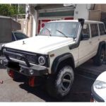 Price and Buy Two-Screw Fender Edge Trim for Nissan Patrol 4-Door – Complete 6-Piece Set - Image 4