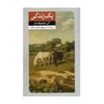 Price and Buy Une vie Novel by Guy de Maupassant (Farsi)