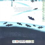 Price and Buy Up on the Snow, Down in the Snow by Kate Messner (Farsi) - Image 3