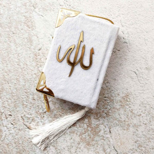 Price and Buy Velvet Cover Rainbow Quran with Uthman Taha Script – Luxurious and Vibrant_68fe5952e8cfe.jpeg Price and Buy Velvet Cover Rainbow Quran with Uthman Taha Script – Luxurious and Vibrant