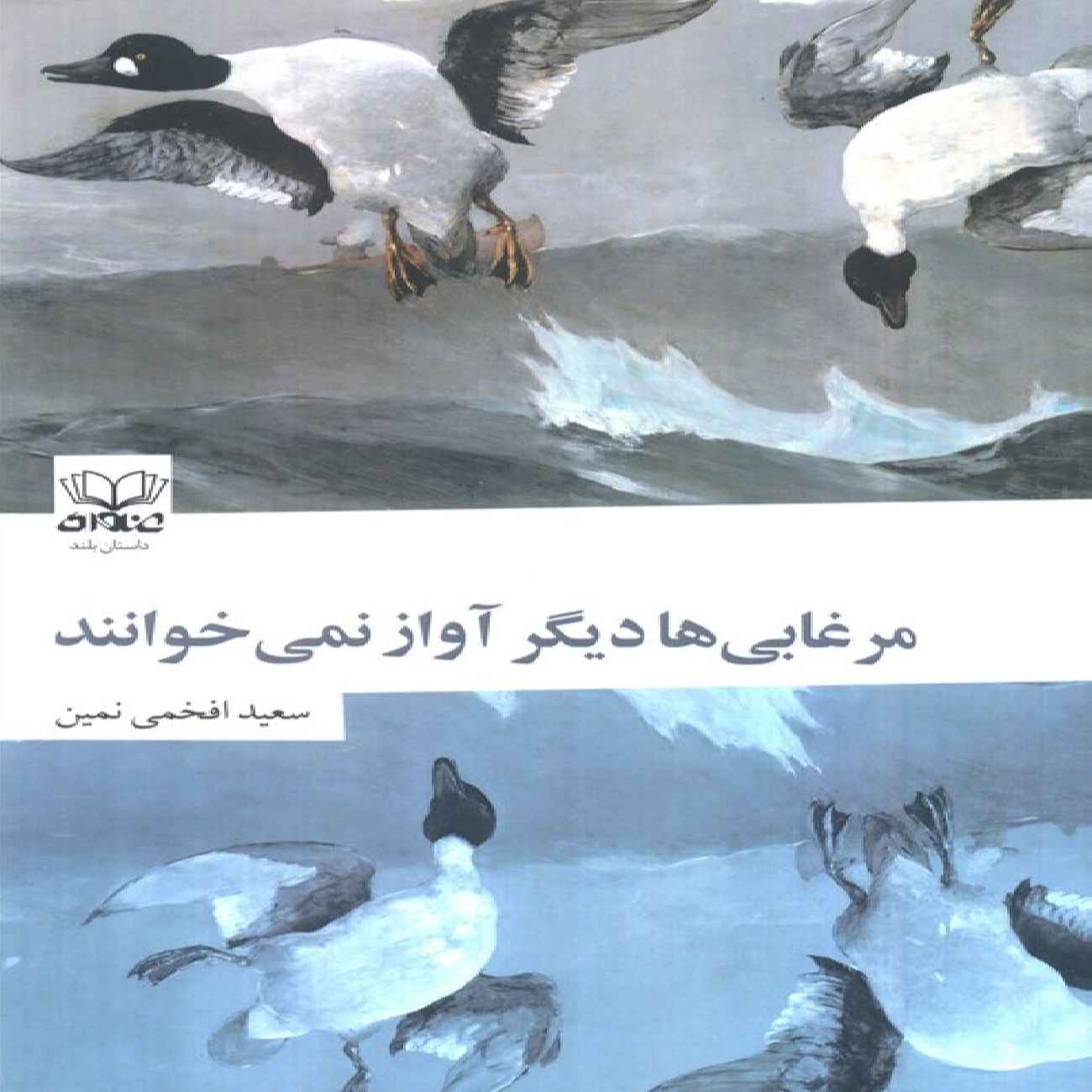 Price and Buy When the Ducks No Longer Sing Book by Saeed Afkhami Namin_6903dd03327d0.jpeg Price and Buy When the Ducks No Longer Sing Book by Saeed Afkhami Namin - Image 1