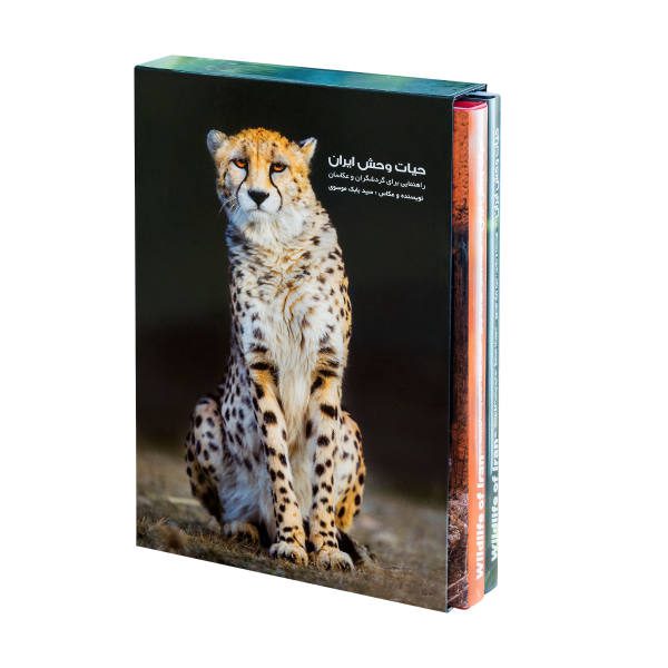 Price and Buy Wildlife of Iran, Where and how to watch and photograph_68f49ae5dedcd.jpeg Price and Buy Wildlife of Iran, Where and how to watch and photograph