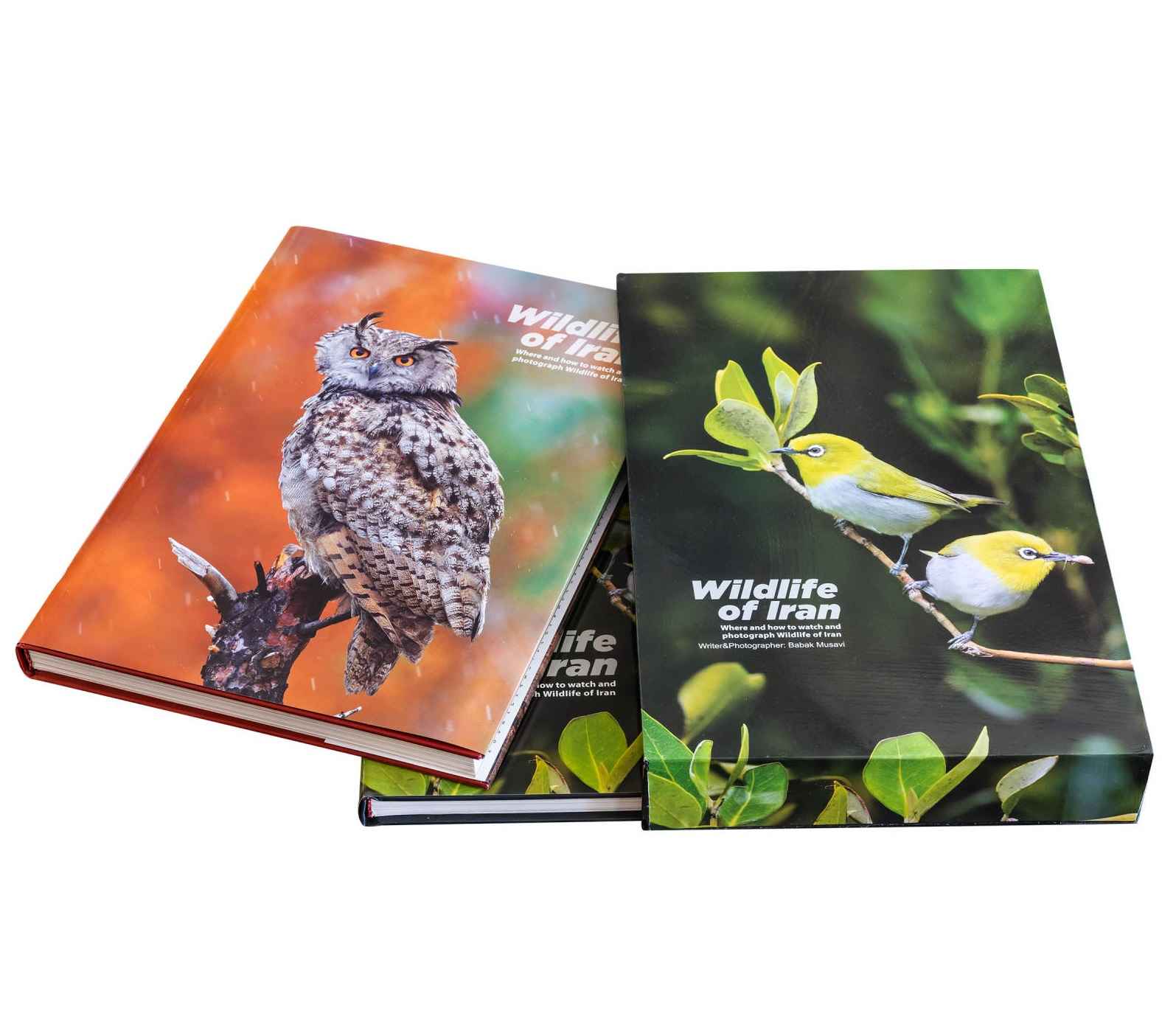 Price and Buy Wildlife of Iran, Where and how to watch and photograph - Image 3