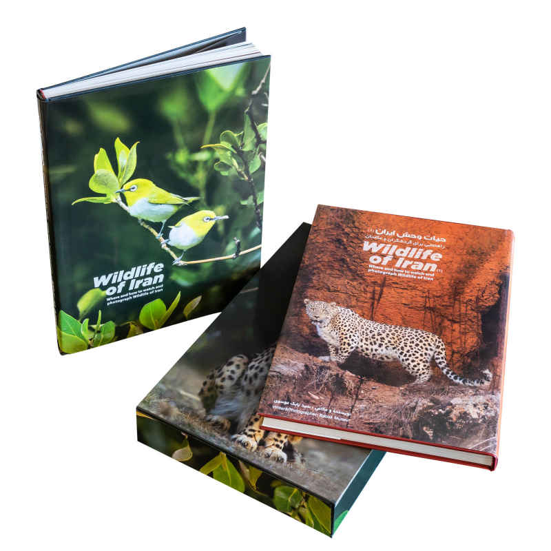 Price and Buy Wildlife of Iran, Where and how to watch and photograph - Image 4