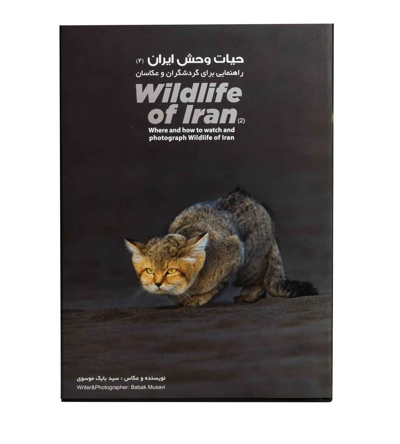 Price and Buy Wildlife of Iran, Where and how to watch and photograph - Image 5