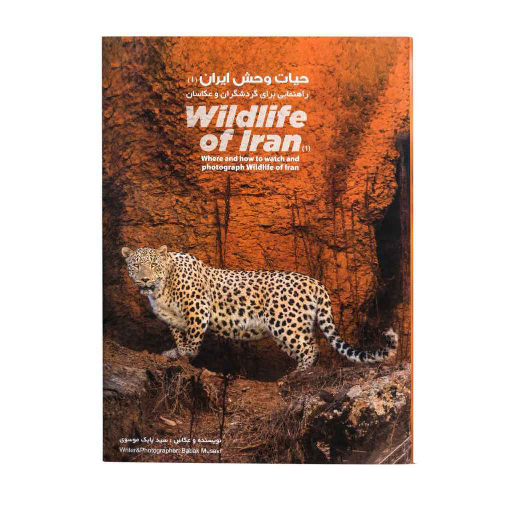 Price and Buy Wildlife of Iran, Where and how to watch and photograph - Image 6