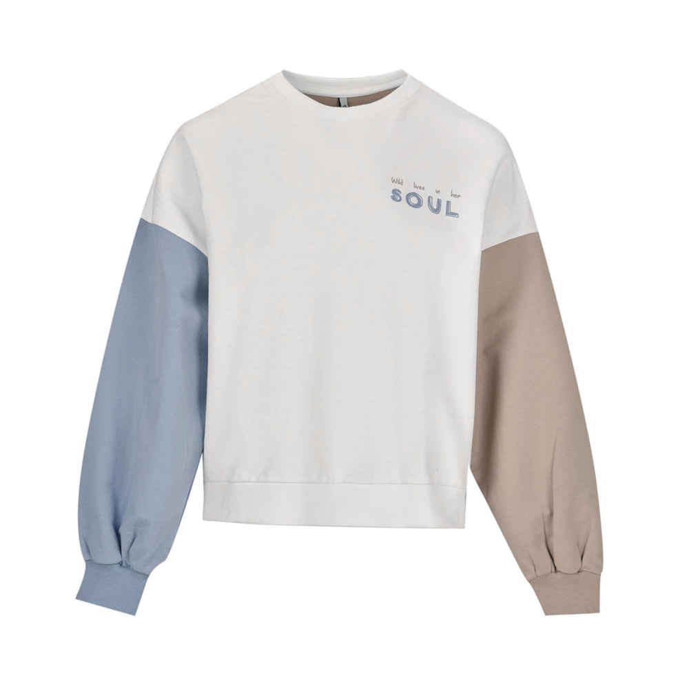 Price and Buy Woman’s Cotton Sweatshirt Model 85121