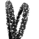 Price and Buy Women’s Formal Twin Beaded Headband – Stylish & Fashionable - Image 3