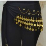 Price and Buy Women’s Gold Coin Fringe Scarf – Hip Shawl Suitable for Arabic Dance