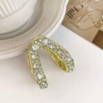 Price and Buy Women’s Hair Claw – Double Ring Ponytail Model - Image 3