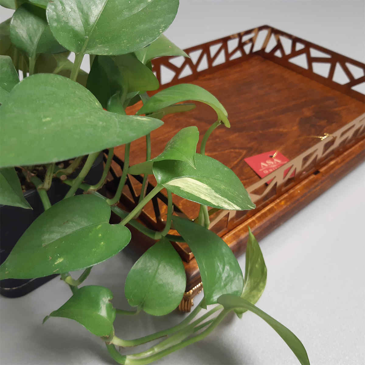 Price and Buy Wooden Tray with Border & Base – Model Asa | Ideal for Everyday Use - Image 4