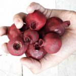 Price and Buy Yalda Dried Pomegranate Model for Perfect Decoration 12-Pack - Image 3